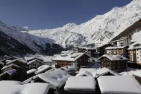 薩斯費卡普拉酒店 - 山景