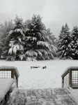 Private Chalet less than 1 mile to  Ski Resort - 3-Star