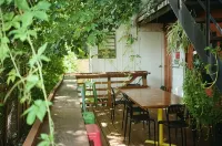 Auberge Saintlo Montréal Hostel - Hostels