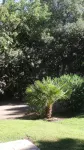 Villa , privat HEATED POOL, beach 235 m away, Porto-Vecchio - 2 stjerner