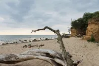 Light-flooded apartment with private sauna! Beach walking distance, with dog! - Wifi