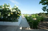 Quiet house located in the highest point of Formentera - جاكوزي