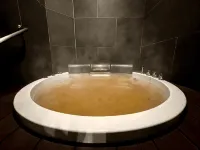 PLUFINO RESORT VILLA - Hot Springs