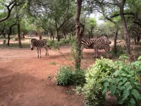 Kruger Cottage - 3-Star