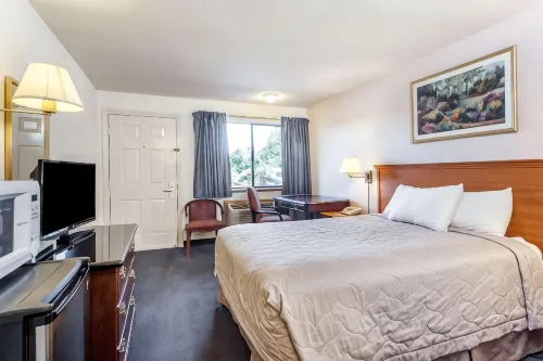 Econo Lodge Edmonds North Seattle - Wifi