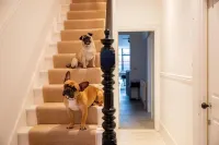 Doghouse Margate