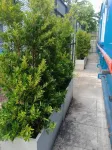 Chai Style Mansion Hotel a Samut Sakhon