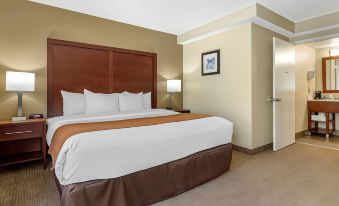 Comfort Inn Charlotte Airport Uptown