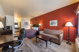 Lone Star Inn and Suites Victoria