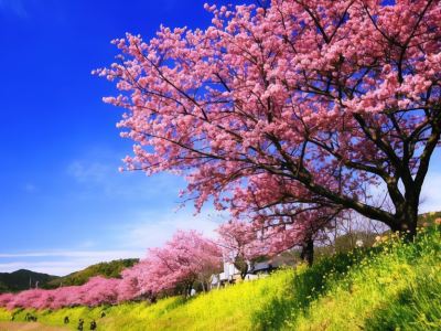 ホテル周辺 星野リゾート 界 アンジンの写真