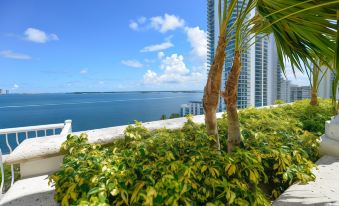 Great Condo at Brickell FreeParking Pool