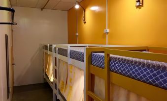 Moon Fools Hostel