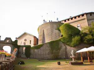 Castello Di Compiano Hotel Relais Museum