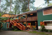 Hotel Boutique the Green Jungle House Punta Uva 호텔