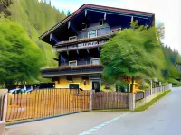 Pension Lederergütl - Jokercard & Parkplatz Inkl Hôtels à : Saalbach
