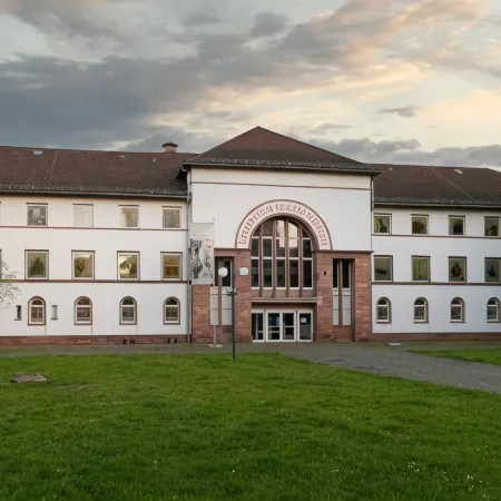 Holiday Inn Express OFFENBACH by IHG