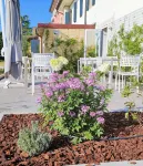 Hotel al Gallo Hotel in zona Villa Foscarini Cornaro