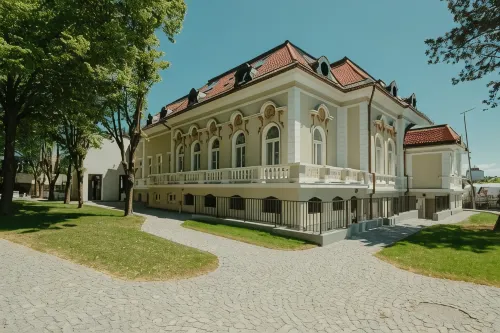 Boutique Hotel Cocosul de Aur Hotels in Târgu Mureș