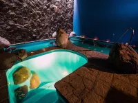 Hotel Bosque de Reñaca - ที่มีสปา
