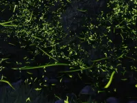 Ogi Onsen Kaisenkaku Hot spring SPA and hotel Hotel a Komaki