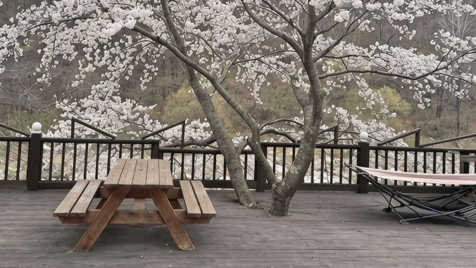 Seongju Muheul Nine Pension