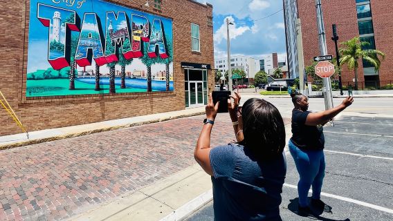 Top tampa Day Tours [2026], Deals and Discounts | Trip.com