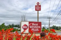 Best Western Plus Bellingham - Swimmingpools