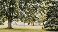 DayDreamer Domes