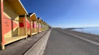 Westward Ho Hotel Hotels in 