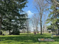 The Nature Loft: New 2-Br Apartment in Troy with Green Space + Patio