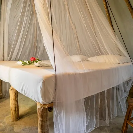 Treehouse Kitecamp Jericoacoara