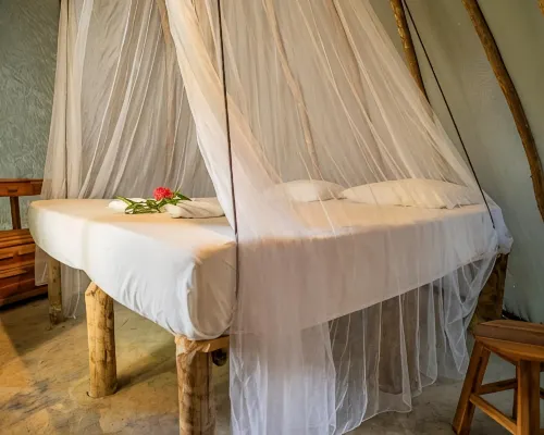 Treehouse Kitecamp Jericoacoara Hotele w: Jericoacoara