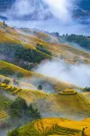 Ink and Longji Homestay (Longsheng Millennium Ladder Observation Deck) - Mountain view