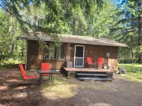 San Gregorio - A Cozy & Dog Friendly Forest Retreat