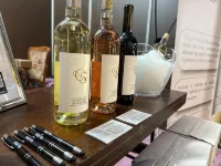 Cepas do Salgueiral - Guest House