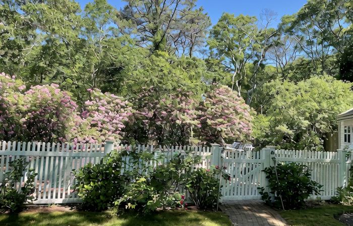 Perfect Family/Friends Reunion House in the Hamptons! Close to Ocean Beaches!