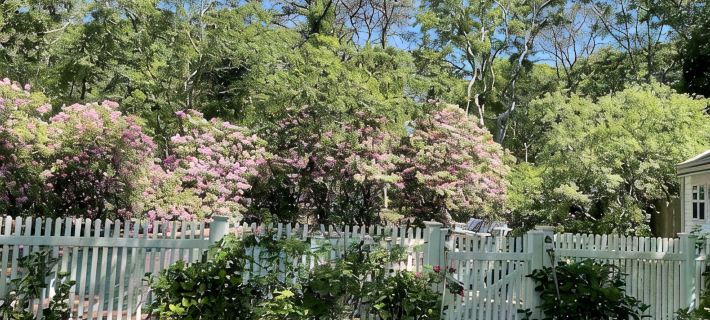 Perfect Family/Friends Reunion House in the Hamptons! Close to Ocean Beaches! Hotels in Hampton Bays
