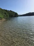 Dachgeschosswohnung - Erholung mit Waldblick - Homestays