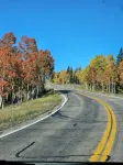 Cozy Panguitch Lake Cabin • Hot Tub • Nestled in the Pines - 4-Star