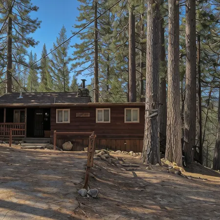 RIVER VIEW Yosemite Cabin in Wawona among the Redwoods,3 Bed 2 bath, jump rock!