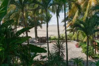 Beachside Casita, new and secure in lovely, quiet north side neighborhood.