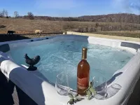 Private Farm Cottage surrounded fields, farm animals, mountain views & hot tub! - 4-Star