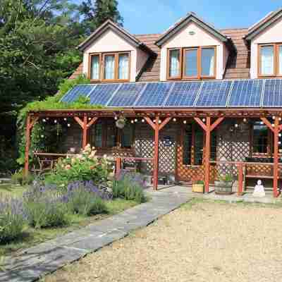 Sunnyside Cottage - Rural 2-bedroom apartment Hotel Exterior