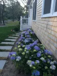 New Listing!  Beautiful, new, luxurious house just steps to the beach - Homestays