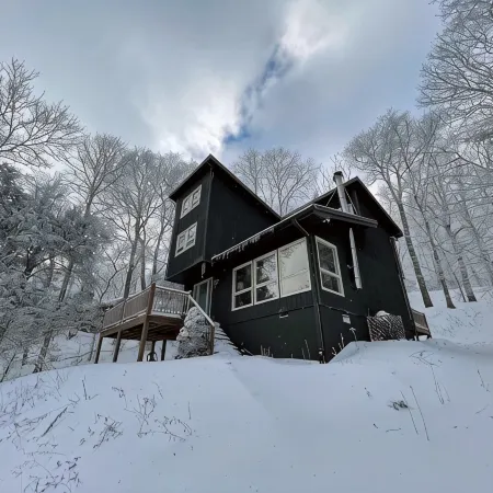 3 Min to Sugar Mtn: Modern Cabin Nestled in the Trees - the Sugar Cube