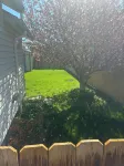 Cozy home with fenced yard and pet friendly. - Homestays