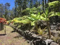 Tranquil private home 5 minutes to Hawai'i Volcanoes National Park - 3 stjerner