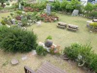 Spring Garden Wando - Pensions