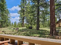 Sunriver Charmer-Updated Family Cabin w/SHARC, Village Access-Comfortable for 6 - Wifi
