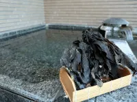Hotel Kappo Ishimaru - Hot Springs